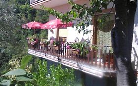 La Margherita Di Teriasca